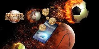 Discover the Thrills Vivi brings you the best odds and the most exciting gaming experience Discover the Thrills Vivi brings you the best odds and the most exciting gaming experience