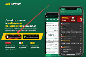 Unveiling the Best Features of betwinner