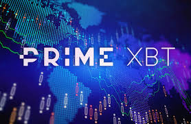 Understanding the Insane Fees on PrimeXBT 5